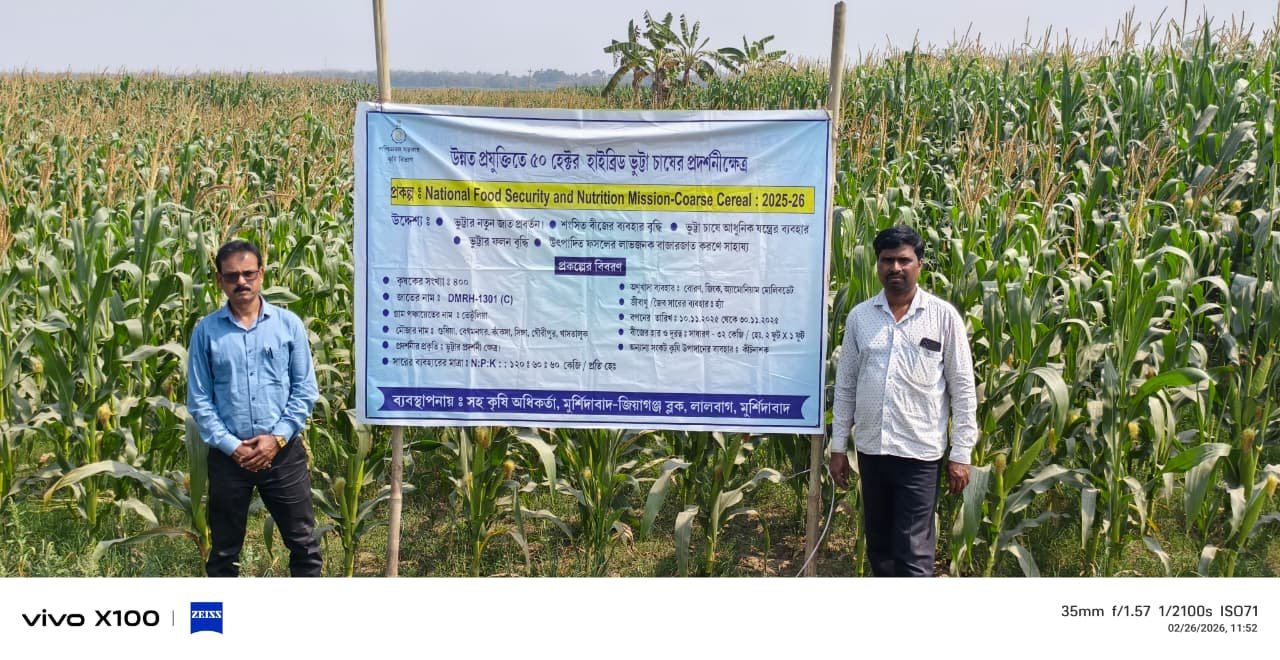 DMRH-1301 Hybrid Maize demonstration, Murshidabad