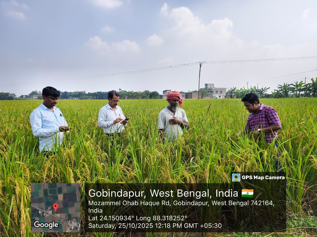 Gold Star Seeds team at paddy field in Gobindapur, West Bengal