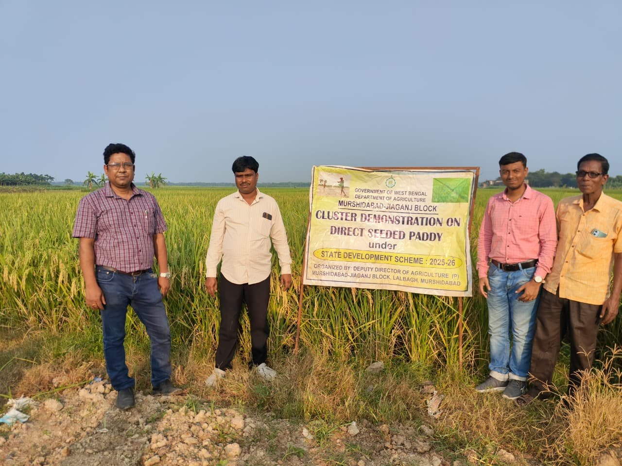 Direct seeded paddy cluster demonstration